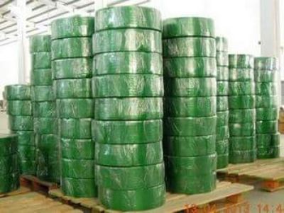 Dây Đai Nhựa PET Xanh Lá